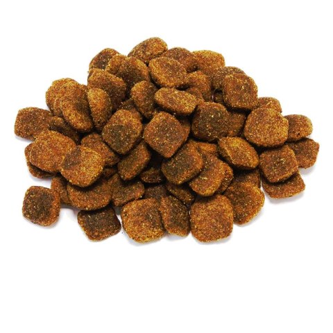 Arquivet Original wieprzowina iberyjska 12 kg Arquivet Original wieprzowina iberyjska 12 kg