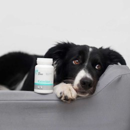 [W] VET EXPERT KALMVET 60 KAPSUŁEK