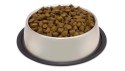 ARQUIVET FRESH PUPPY JUNIOR Indyk i łosoś 10 kg