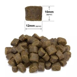 ARQUIVET FRESH Półwilgotna karma dla psa łosoś z indykiem 10 kg