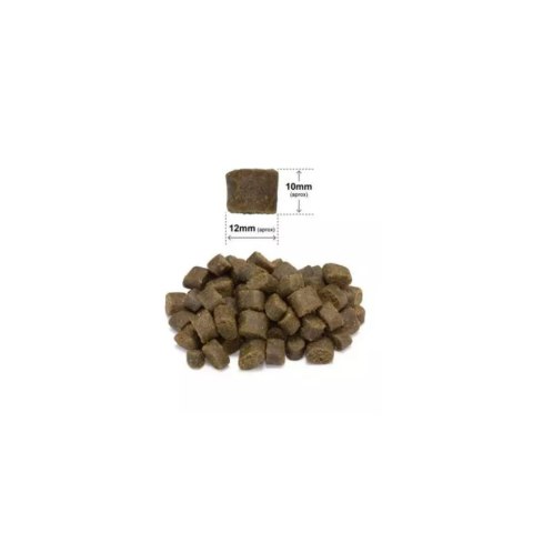 ARQUIVET FRESH Półwilgotna karma dla psa wieprzowina iberyjska i ryba oceaniczna 2,5 kg ARQUIVET FRESH Półwilgotna karma dla psa wieprzowina iberyjska i ryba oceaniczna 2,5 kg