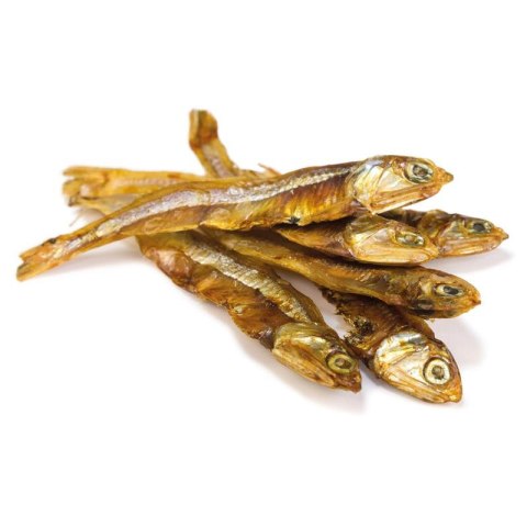 ARQUIVET Przysmak suszone rybki 100g ARQUIVET Przysmak suszone rybki 100g