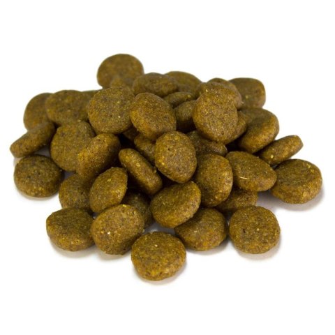 ARQUIVET Sensitive łosoś z ziemniakami 12 kg ARQUIVET Sensitive łosoś z ziemniakami 12 kg
