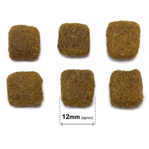 Arquivet Original Adult jagnięcina z ryżem 20 kg Arquivet Original Adult jagnięcina z ryżem 20 kg