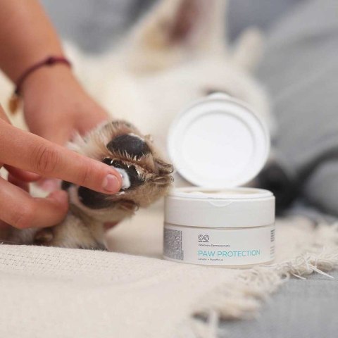 PAW PROTECTION 75 ML Maść ochronna do łap POJEMNIK PAW PROTECTION 75 ML Maść ochronna do łap POJEMNIK
