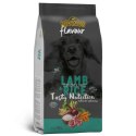 Próbka Divinus FLAVOUR jagnięcina z ryżem 100 g