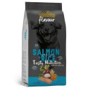 Próbka Divinus FLAVOUR łosoś z ryżem 100 g
