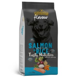 Próbka Divinus FLAVOUR łosoś z ryżem 100 g
