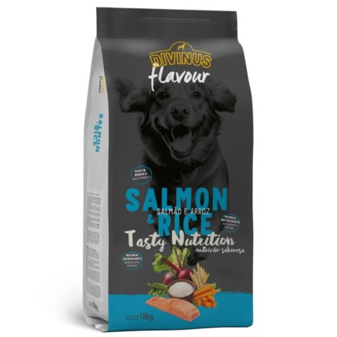 Próbka Divinus FLAVOUR łosoś z ryżem 100 g Próbka Divinus FLAVOUR łosoś z ryżem 100 g