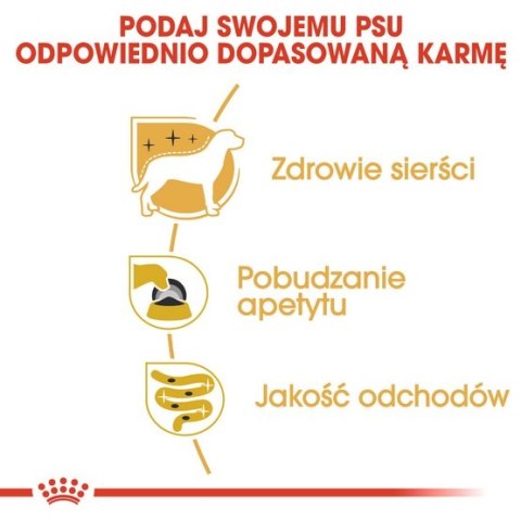 Royal Canin Yorkshire Terrier Adult karma mokra - pasztet, dla psów dorosłych rasy yorkshire terrier saszetka 85g Royal Canin Yorkshire Terrier Adult karma mokra - pasztet, dla psów dorosłych rasy yorkshire terrier saszetka 85g