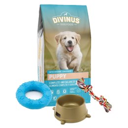 Wyprawka DIVINUS - STANDARD