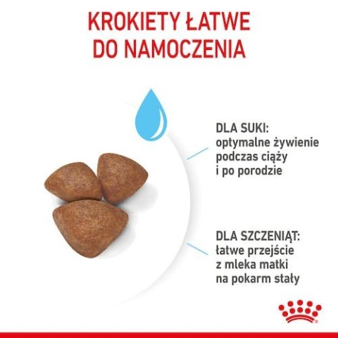 Royal Canin Mini Starter Mother&Babydog karma sucha dla szczeniąt do 2 miesiąca i suk karmiących ras małych 8kg Royal Canin Mini Starter Mother&Babydog karma sucha dla szczeniąt do 2 miesiąca i suk karmiących ras małych 8kg
