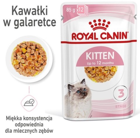 Royal Canin Feline Kitten Multipack karma mokra dla kociąt do 12 miesiąca życia saszetki 4x85g Royal Canin Feline Kitten Multipack karma mokra dla kociąt do 12 miesiąca życia saszetki 4x85g
