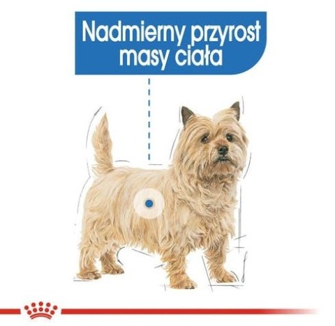 Royal Canin Light Weight Care karma mokra dla psów dorosłych, wszystkich ras z tendencją do nadwagi saszetka 85g Royal Canin Light Weight Care karma mokra dla psów dorosłych, wszystkich ras z tendencją do nadwagi saszetka 85g