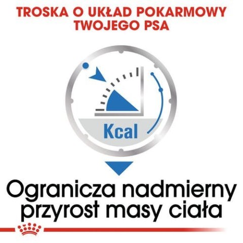 Royal Canin Light Weight Care karma mokra dla psów dorosłych, wszystkich ras z tendencją do nadwagi saszetka 85g Royal Canin Light Weight Care karma mokra dla psów dorosłych, wszystkich ras z tendencją do nadwagi saszetka 85g