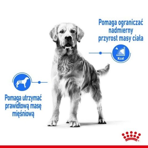 Royal Canin Maxi Light Weight Care karma sucha dla psów dorosłych, ras dużych z tendencją do nadwagi 3kg Royal Canin Maxi Light Weight Care karma sucha dla psów dorosłych, ras dużych z tendencją do nadwagi 3kg