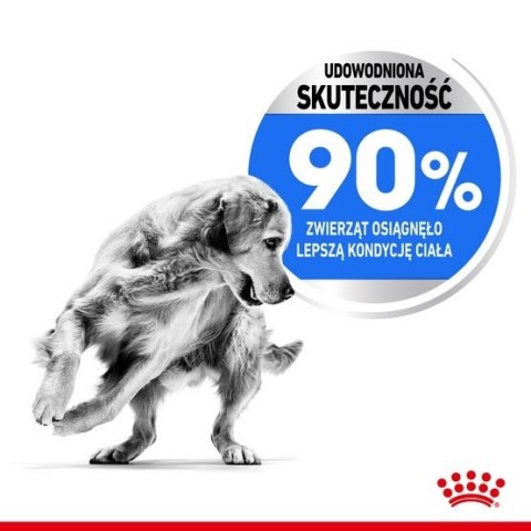 Royal Canin Maxi Light Weight Care karma sucha dla psów dorosłych, ras dużych z tendencją do nadwagi 3kg Royal Canin Maxi Light Weight Care karma sucha dla psów dorosłych, ras dużych z tendencją do nadwagi 3kg