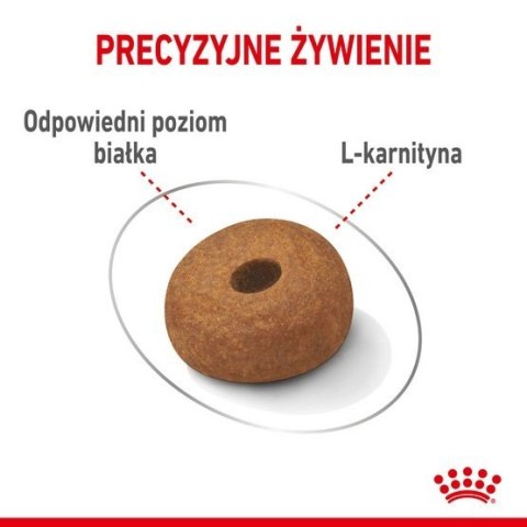 Royal Canin Maxi Light Weight Care karma sucha dla psów dorosłych, ras dużych z tendencją do nadwagi 3kg Royal Canin Maxi Light Weight Care karma sucha dla psów dorosłych, ras dużych z tendencją do nadwagi 3kg