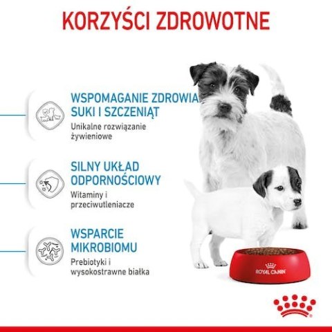 Royal Canin Mini Starter Mother&Babydog karma sucha dla szczeniąt do 2 miesiąca i suk karmiących ras małych 4kg Royal Canin Mini Starter Mother&Babydog karma sucha dla szczeniąt do 2 miesiąca i suk karmiących ras małych 4kg