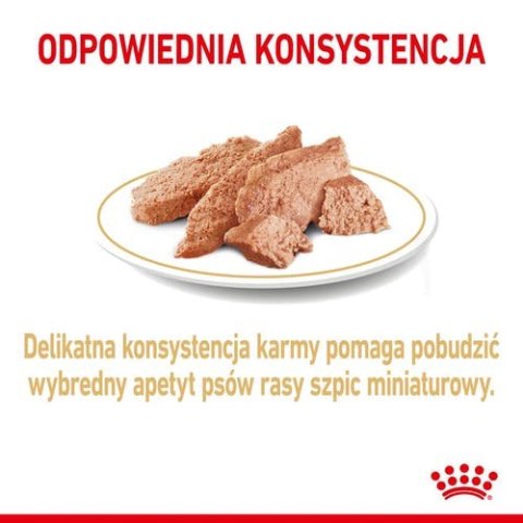 Royal Canin Pomeranian Adult karma mokra dla psów dorosłych rasy szpic miniaturowy, pasztet saszetka 85g Royal Canin Pomeranian Adult karma mokra dla psów dorosłych rasy szpic miniaturowy, pasztet saszetka 85g