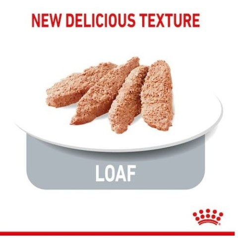 Royal Canin Ultra Light pasztet karma mokra dla kotów dorosłych, z tendencją do nadwagi saszetka 85g Royal Canin Ultra Light pasztet karma mokra dla kotów dorosłych, z tendencją do nadwagi saszetka 85g