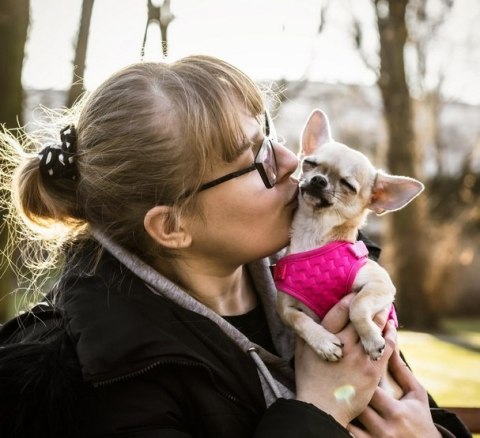 Dingo Szelki bezuciskowe z dwupaskową regulacją L różowe Dingo Szelki bezuciskowe z dwupaskową regulacją L różowe