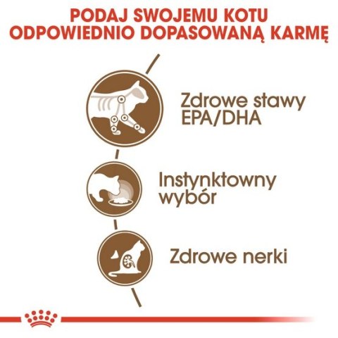 Royal Canin Ageing +12 karma mokra w sosie dla kotów dojrzałych saszetka 85g Royal Canin Ageing +12 karma mokra w sosie dla kotów dojrzałych saszetka 85g