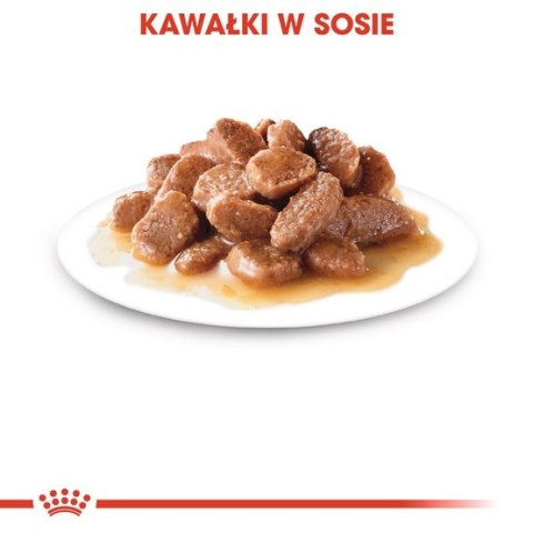 Royal Canin Ageing +12 karma mokra w sosie dla kotów dojrzałych saszetka 85g Royal Canin Ageing +12 karma mokra w sosie dla kotów dojrzałych saszetka 85g
