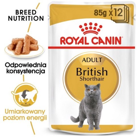 Royal Canin British Shorthair karma mokra w sosie dla kotów dorosłych rasy brytyjski krótkowłosy saszetka 85g Royal Canin British Shorthair karma mokra w sosie dla kotów dorosłych rasy brytyjski krótkowłosy saszetka 85g