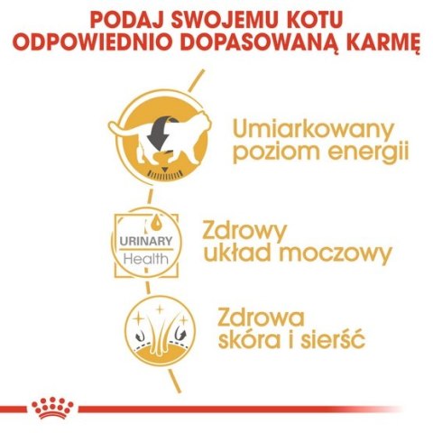 Royal Canin British Shorthair karma mokra w sosie dla kotów dorosłych rasy brytyjski krótkowłosy saszetka 85g Royal Canin British Shorthair karma mokra w sosie dla kotów dorosłych rasy brytyjski krótkowłosy saszetka 85g
