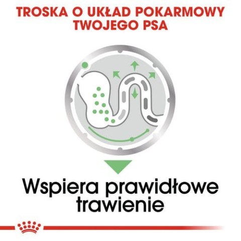 Royal Canin Digestive Care karma mokra dla psów dorosłych, wszystkich ras o wrażliwym przewodzie pokarmowym saszetka 85g Royal Canin Digestive Care karma mokra dla psów dorosłych, wszystkich ras o wrażliwym przewodzie pokarmowym saszetka 85g