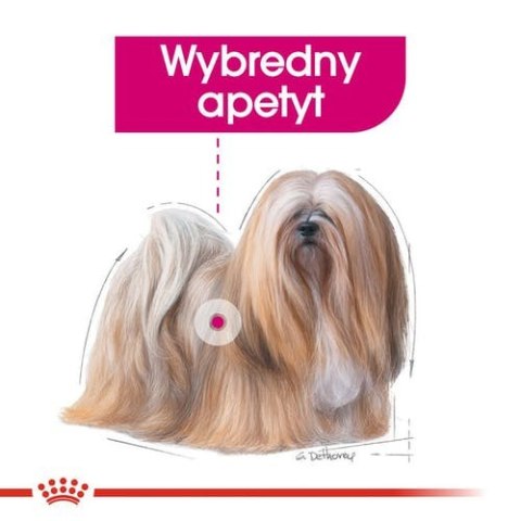 Royal Canin Exigent karma mokra dla wybrednych psów dorosłych, wszystkich ras, pasztet saszetka 85g Royal Canin Exigent karma mokra dla wybrednych psów dorosłych, wszystkich ras, pasztet saszetka 85g