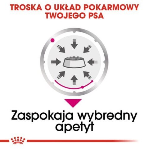 Royal Canin Exigent karma mokra dla wybrednych psów dorosłych, wszystkich ras, pasztet saszetka 85g Royal Canin Exigent karma mokra dla wybrednych psów dorosłych, wszystkich ras, pasztet saszetka 85g
