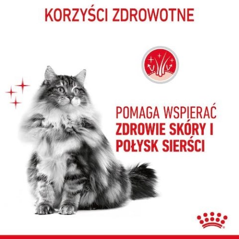 Royal Canin Hair & Skin Care karma mokra w galaretce dla kotów dorosłych, lśniąca sierść i zdrowa skóra saszetka 85g Royal Canin Hair & Skin Care karma mokra w galaretce dla kotów dorosłych, lśniąca sierść i zdrowa skóra saszetka 85g