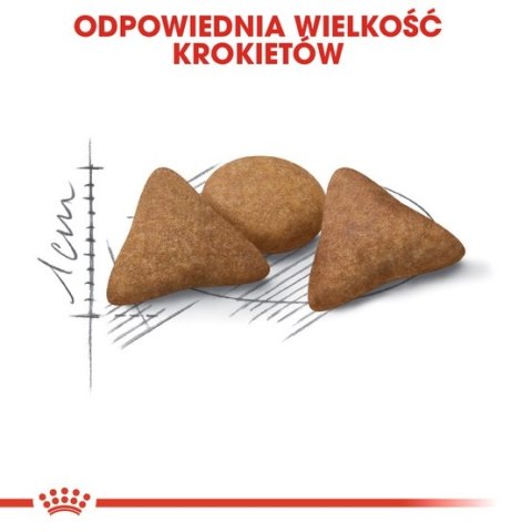 Royal Canin Indoor Apetite Control karma sucha dla kotów dorosłych przebywających w domu, domagających się jedzenia 400g Royal Canin Indoor Apetite Control karma sucha dla kotów dorosłych przebywających w domu, domagających się jedzenia 400g