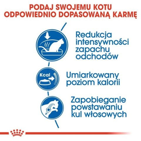 Royal Canin Indoor karma sucha dla kotów dorosłych, przebywających wyłącznie w domu 2kg Royal Canin Indoor karma sucha dla kotów dorosłych, przebywających wyłącznie w domu 2kg