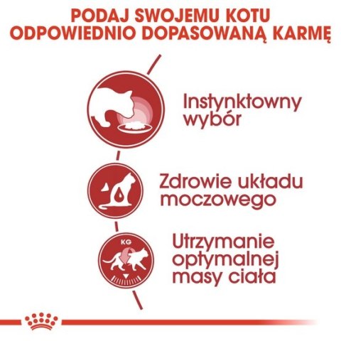 Royal Canin Instinctive w galaretce karma mokra dla kotów dorosłych, wybrednych saszetka 85g Royal Canin Instinctive w galaretce karma mokra dla kotów dorosłych, wybrednych saszetka 85g