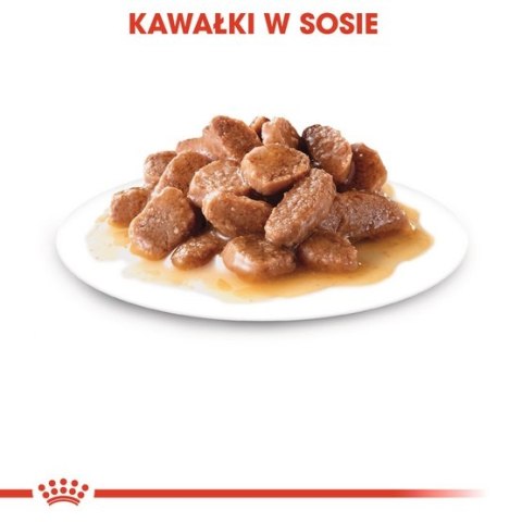 Royal Canin Instinctive w sosie karma mokra dla kotów dorosłych, wybrednych saszetka 85g Royal Canin Instinctive w sosie karma mokra dla kotów dorosłych, wybrednych saszetka 85g
