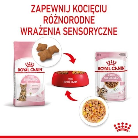 Royal Canin Kitten Sterilised karma mokra w galaretce dla kociąt od 6 do 12 miesiąca życia, sterylizowanych saszetka 85g Royal Canin Kitten Sterilised karma mokra w galaretce dla kociąt od 6 do 12 miesiąca życia, sterylizowanych saszetka 85g