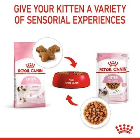 Royal Canin Kitten w galaretce karma mokra dla kociąt do 12 miesiąca życia saszetka 85g Royal Canin Kitten w galaretce karma mokra dla kociąt do 12 miesiąca życia saszetka 85g