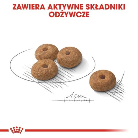 Royal Canin Mini Sterilised karma sucha dla psów dorosłych, ras małych, sterylizowanych 3kg Royal Canin Mini Sterilised karma sucha dla psów dorosłych, ras małych, sterylizowanych 3kg