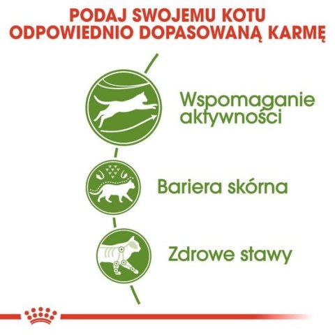 Royal Canin Outdoor karma sucha dla kotów dorosłych, wychodzących na zewnątrz 4kg Royal Canin Outdoor karma sucha dla kotów dorosłych, wychodzących na zewnątrz 4kg