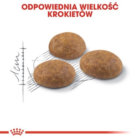 Royal Canin Outdoor karma sucha dla kotów dorosłych, wychodzących na zewnątrz 4kg Royal Canin Outdoor karma sucha dla kotów dorosłych, wychodzących na zewnątrz 4kg