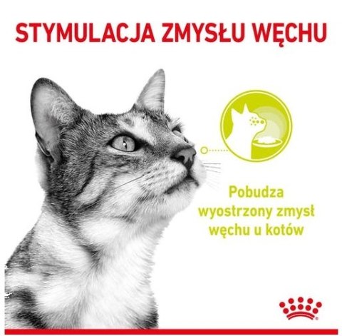 Royal Canin Sensory Smell w sosie karma mokra dla kotów dorosłych saszetka 85g Royal Canin Sensory Smell w sosie karma mokra dla kotów dorosłych saszetka 85g