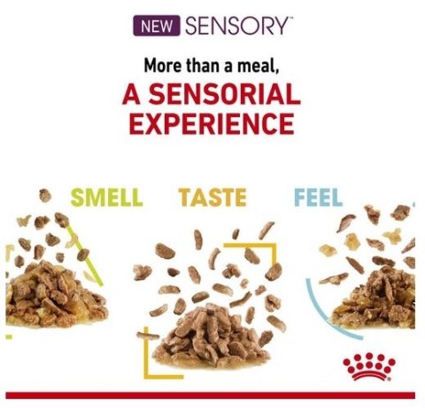 Royal Canin Sensory Taste w sosie karma mokra dla kotów dorosłych saszetka 85g Royal Canin Sensory Taste w sosie karma mokra dla kotów dorosłych saszetka 85g