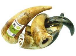 Vector-Food Róg wołowy duży 1szt