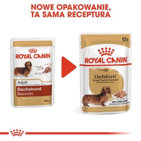 Royal Canin Dachshund karma mokra - pasztet, dla psów dorosłych rasy jamnik saszetka 85g Royal Canin Dachshund karma mokra - pasztet, dla psów dorosłych rasy jamnik saszetka 85g