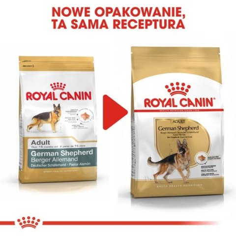 Royal Canin German Shepherd Adult karma sucha dla psów dorosłych rasy owczarek niemiecki 11kg Royal Canin German Shepherd Adult karma sucha dla psów dorosłych rasy owczarek niemiecki 11kg