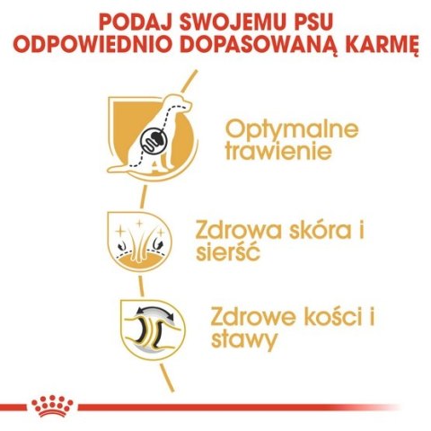 Royal Canin German Shepherd Adult karma sucha dla psów dorosłych rasy owczarek niemiecki 11kg Royal Canin German Shepherd Adult karma sucha dla psów dorosłych rasy owczarek niemiecki 11kg