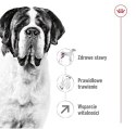 Royal Canin Giant Adult karma sucha dla psów dorosłych, od 18/24 miesiąca życia, ras olbrzymich PROMOCJA 18kg (15+3kg)